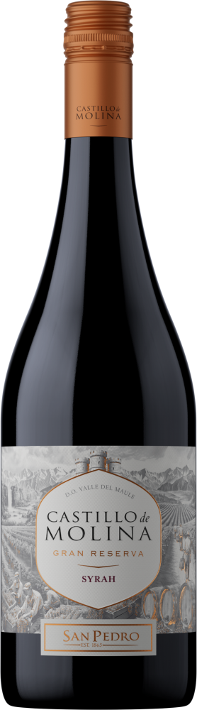 Castillo de Molina Syrah 2023