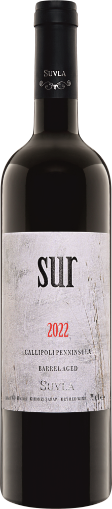 Sur 2022