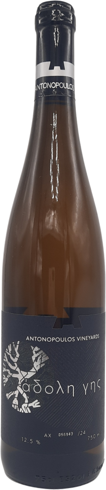 Adoli Ghis White 2024