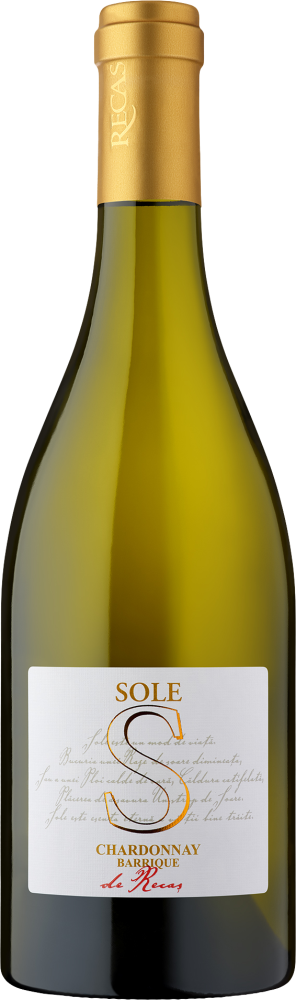 Sole Chardonnay 2024