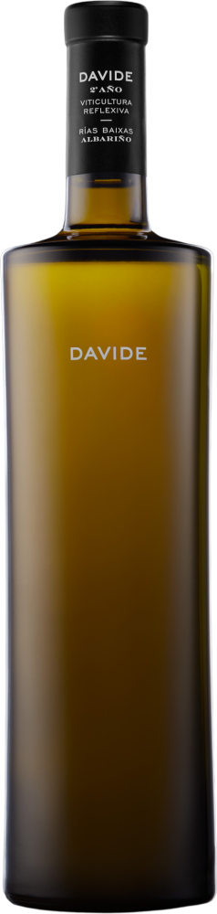 Davide 2º Año Viticultura Reflexiva Rias Baixas Albariño 2024