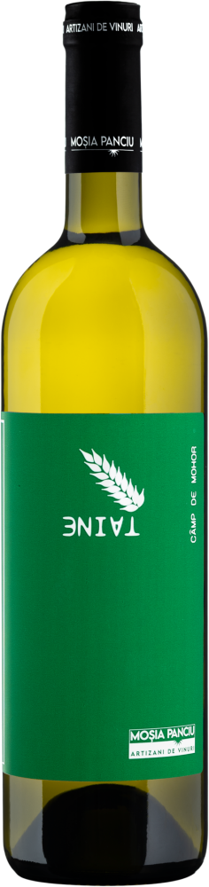 Mosia Panciu - Taine Traminer 2024