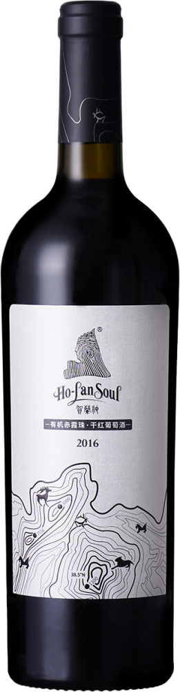 Ho-Lan Soul Organic Cabernet Sauvignon 2016