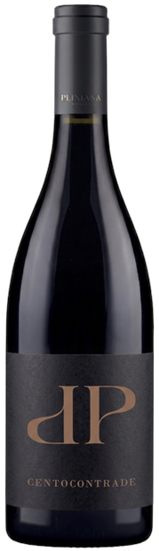 Centocontrade Primitivo Rosato 2025