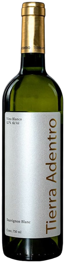 Tierra Adentro Sauvignon Blanc 2024