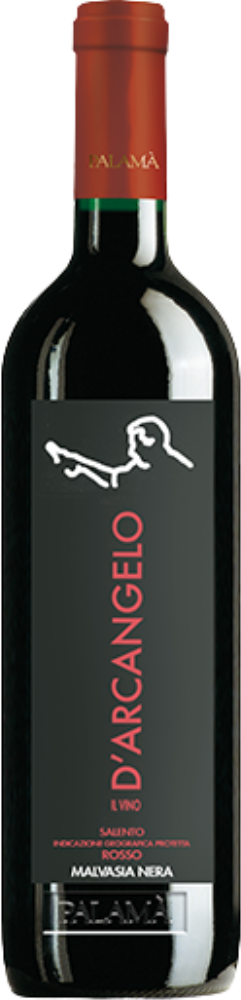 Il Vino d'Arcangelo 2023