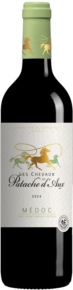 Chevaux de Patache d'Aux 2024