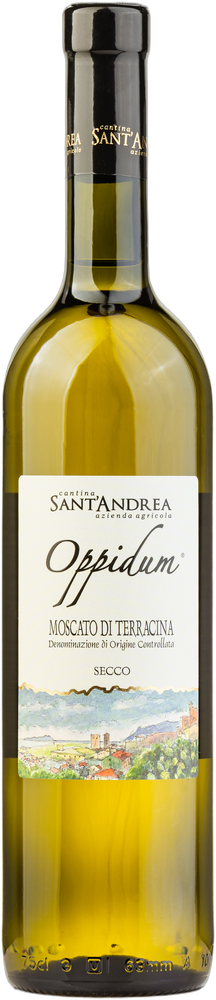 Oppidum Secco 2025
