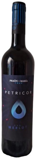 Petricor 2023