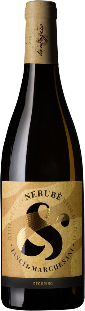 Nerube 2025