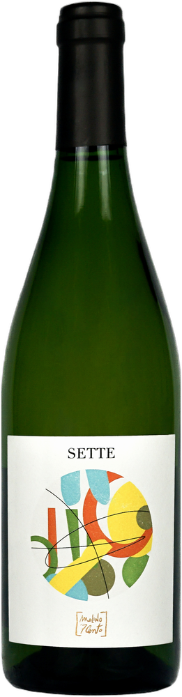 Sette Bianco 2025