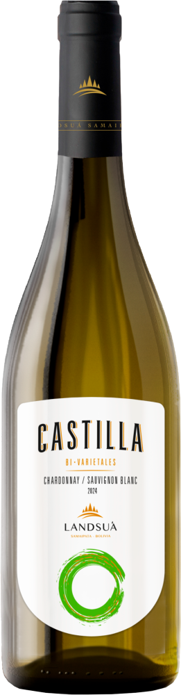 Castilla Bi Varietales Chardonnay - Sauvignon Blanc 2024