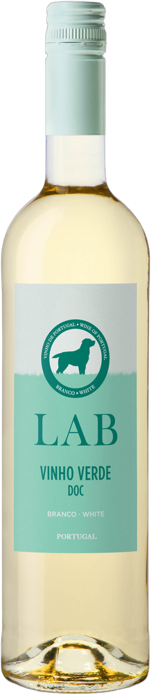 LAB 2025
