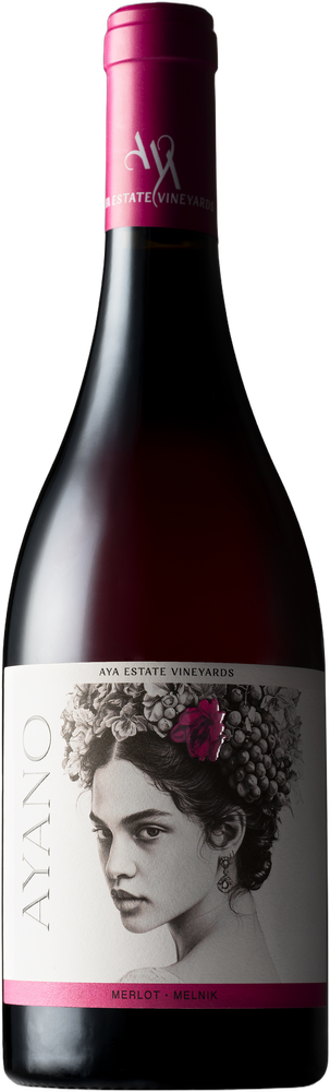 Ayano Merlot & Melnik 2024
