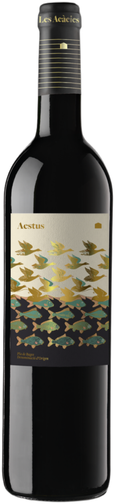 Aestus 2024