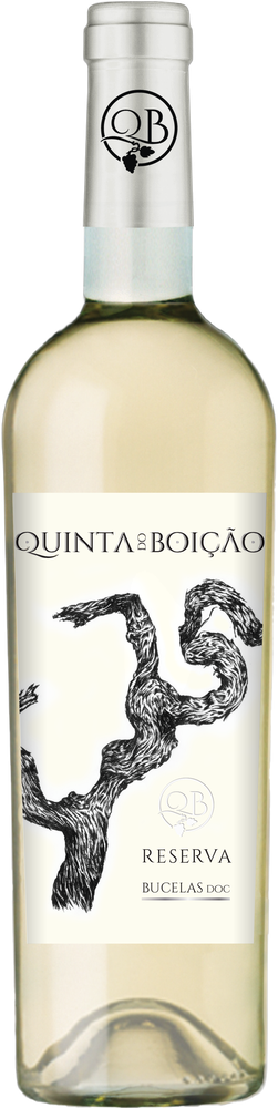 Quinta do Boição Reserva Branco 2025