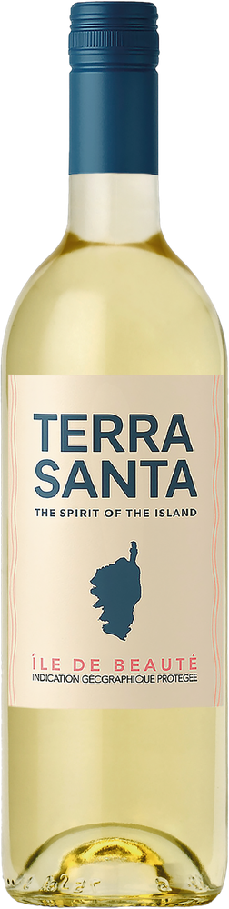 Terra Santa 2025