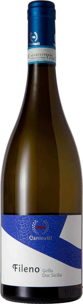 Fileno Bianco 2025
