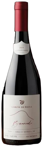 Benvindo Syrah 2025