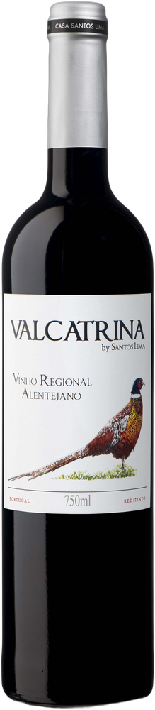 Valcatrina 2024