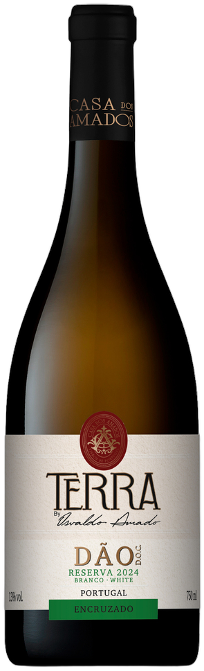 Terra By Osvaldo Amado Encruzado Reserva Branco 2024