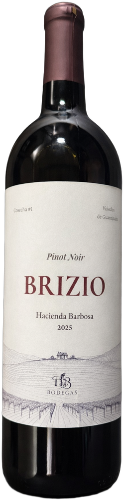 Brizio 2025