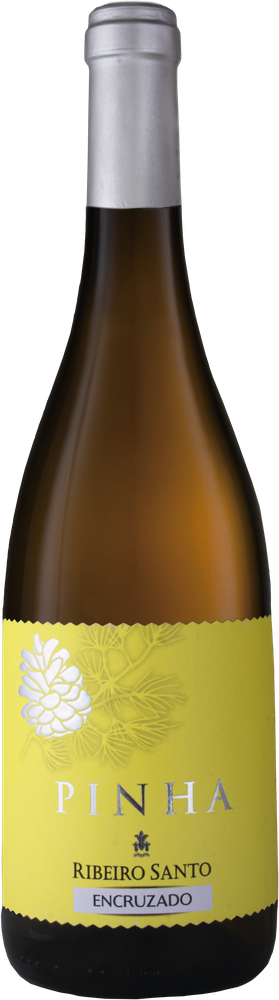 Pinha Encruzado Branco 2025