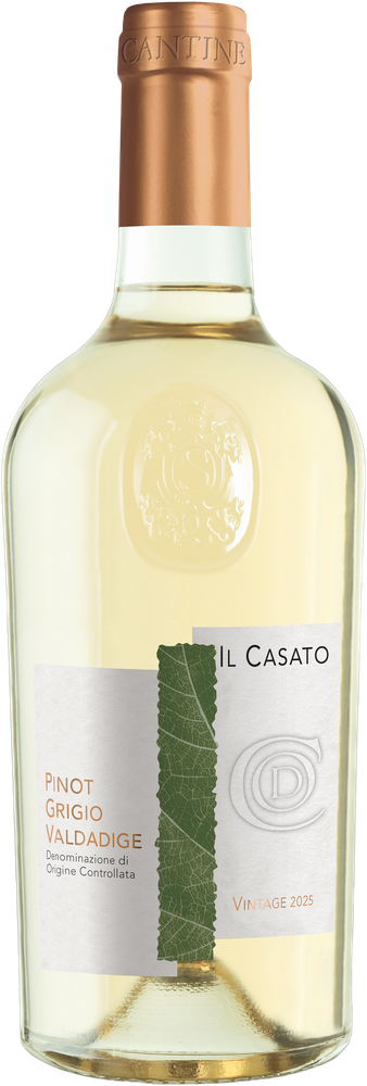 Il Casato Pinot Grigio 2025