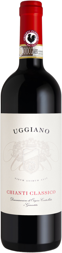 Uggiano 2022