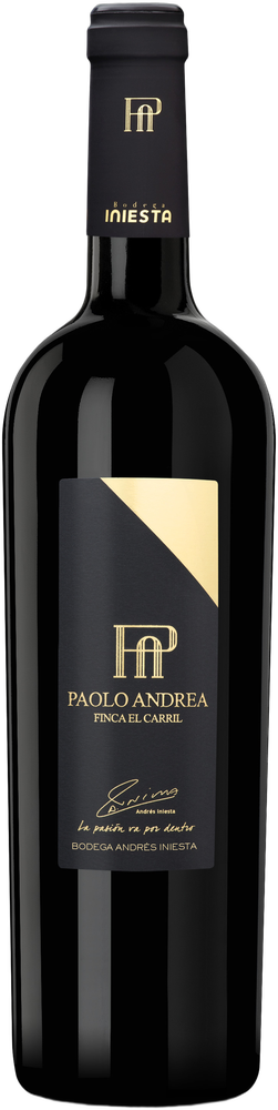 Finca el Carril Paolo Andrea 2023