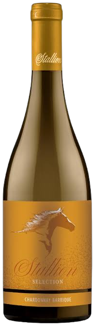 Stallion Selection Chardonnay 2025