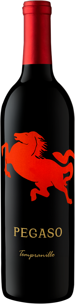 Pegaso 2022
