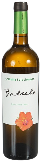 Badula Colheita Selecionada White 2024