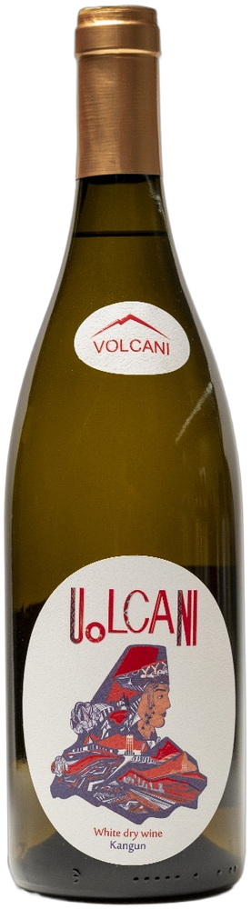 Volcani White Kangun 2024