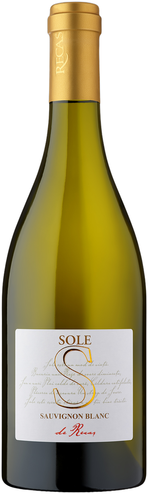Sole Sauvignon Blanc 2025