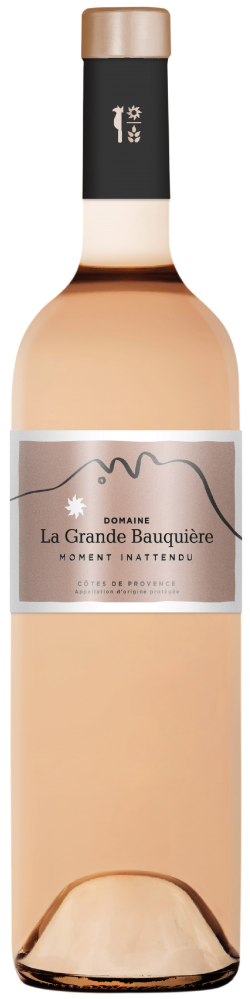 French Rosé Wine Revelation