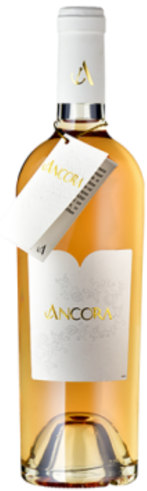 Ancora Rosé 2021
