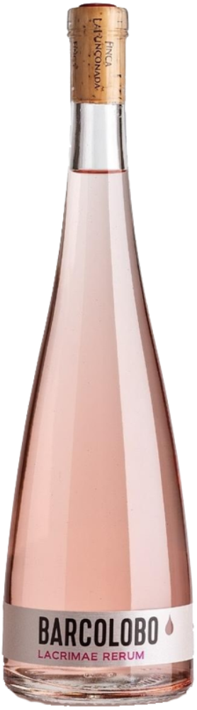 Lacrimae Rerum Rose 2022