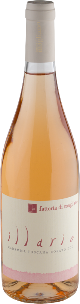 Illario Rosato Bio 2024