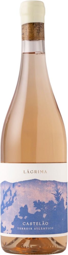 Tojo Lágrima Rosé 2023