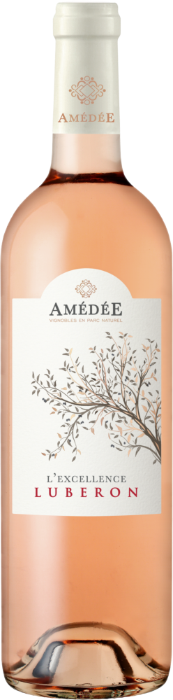 Amédée Excellence 2025