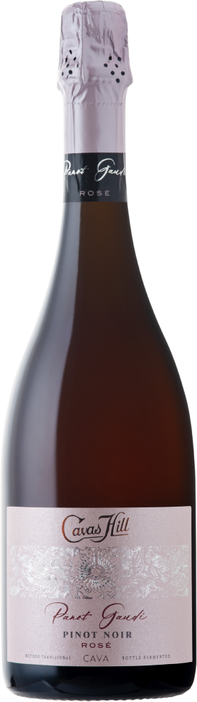 Panot Gaudí Pinot Noir 2021