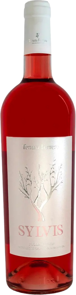 Sylvis Rosé 2025