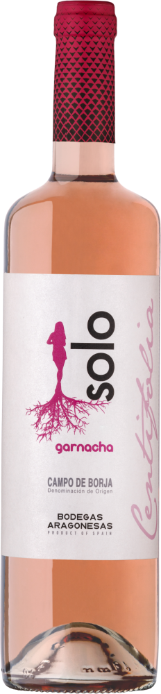 Solo Centifolia Rosado 2025