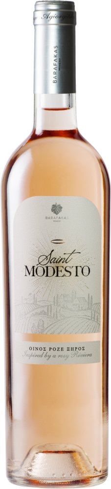 Saint Modesto Rose 2025