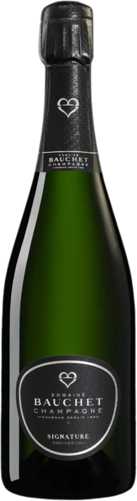 Champagne Bauchet Cuvée Signature Premier Cru
