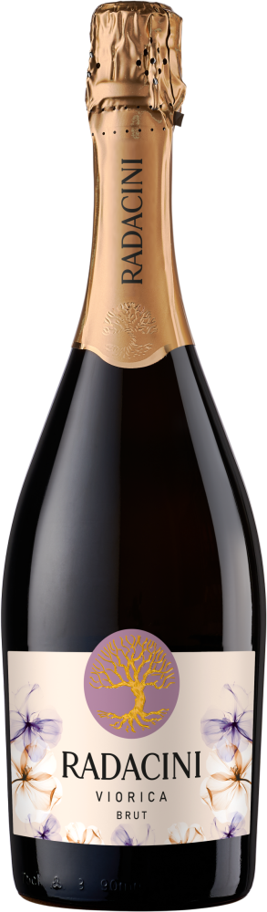 Radacini Viorica brut