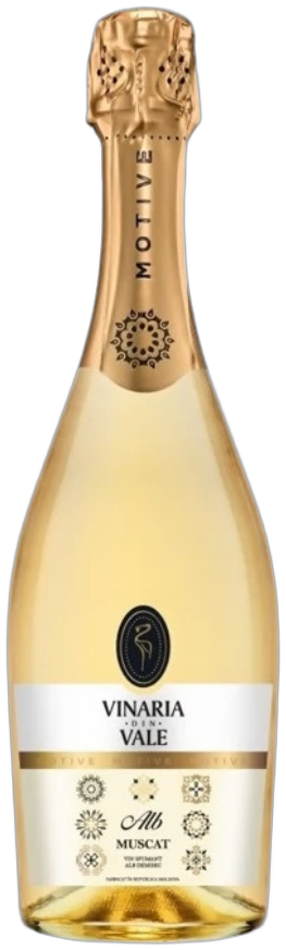 Motive Muscat