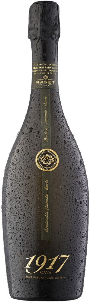 Maset 1917 2022