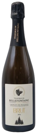 Vignoble de Bellefontaine Brut 2021
